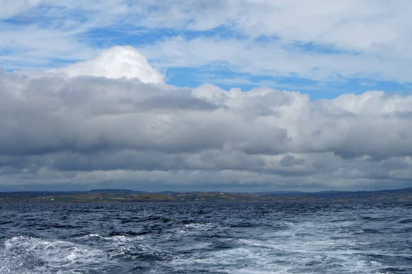 Las Aguas Irlandesas Cada Año Numerosas Especies Ballenas Delfines Cavort —  Fotos de Stock