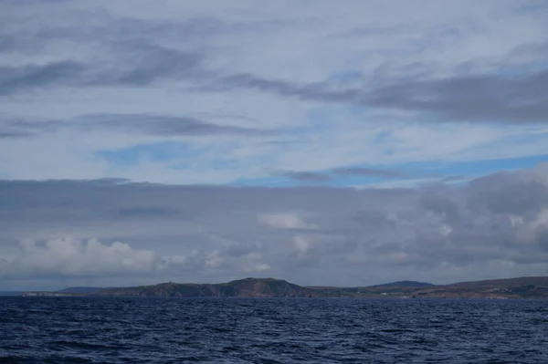 Ierse Wateren Worden Jaarlijks Talrijke Walvis Dolfijnensoorten Gecavorteerd Tot Dusver — Stockfoto