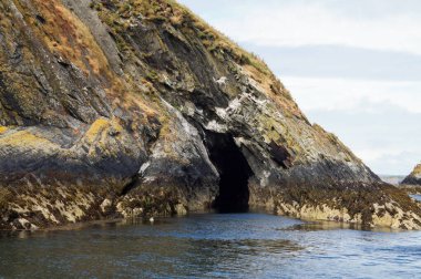 Foklar için bir cennet. Myross Adası, İrlanda 'nın güneyinde, Kelt Denizi' nde yer almaktadır. Kelt Denizi, İrlanda 'nın güney kıyısı, Galler' in güneybatı kıyısı ve Devon 'un kuzey kıyıları arasında Atlantik Okyanusu' nun bir bölgesidir. 