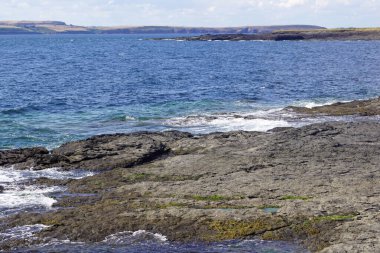 Kanca Feneri, Wexford County, İrlanda 'daki Kanca Yarımadası' nın ucundaki Kanca Kafa 'da bir binadır. O, dünyadaki en eski deniz fenerlerinden biridir..
