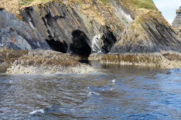 Een Paradijs Voor Zeehonden Myross Island Ligt Het Zuiden Van — Stockfoto