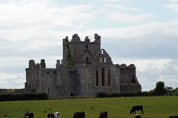 Dunbrody Abbey Una Antigua Abadía Monjes Cistercienses Condado Wexford República — Foto de Stock