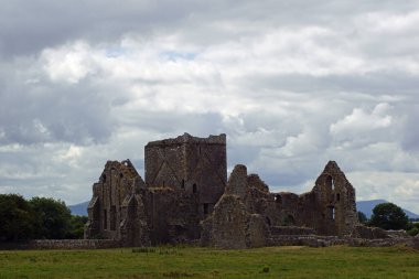 Hore Abbey, Cashel Kayası 'nın karşısındaki eski bir harabe..
