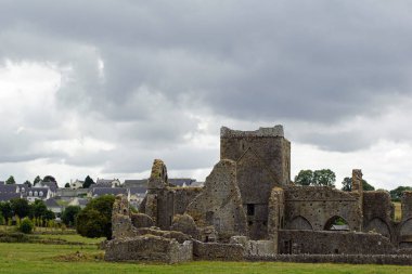 Hore Abbey, Cashel Kayası 'nın karşısındaki eski bir harabe..