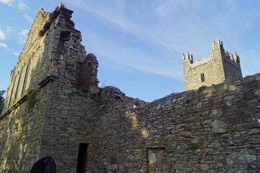 Jerpoint Abbey, İrlanda 'nın Kilkenny ilçesinin Thomastown ilçesinin 1,5 km güneybatısında bulunan ve İrlanda' da türünün en önemli manastırlarından biridir..