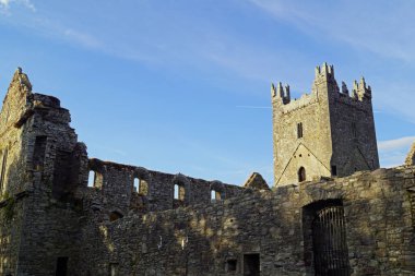 Jerpoint Abbey, İrlanda 'nın Kilkenny ilçesinin Thomastown ilçesinin 1,5 km güneybatısında bulunan ve İrlanda' da türünün en önemli manastırlarından biridir..