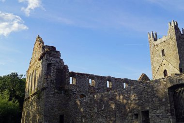Jerpoint Abbey, İrlanda 'nın Kilkenny ilçesinin Thomastown ilçesinin 1,5 km güneybatısında bulunan ve İrlanda' da türünün en önemli manastırlarından biridir..