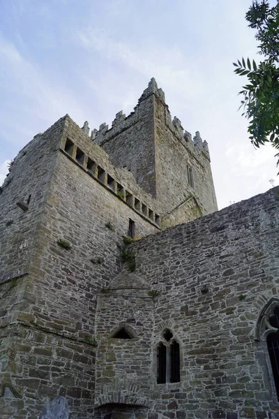 Jerpoint Abbey Egykori Ciszterci Kolostor Délnyugatra Thomastown Megyében Kilkenny Írország — Stock Fotó