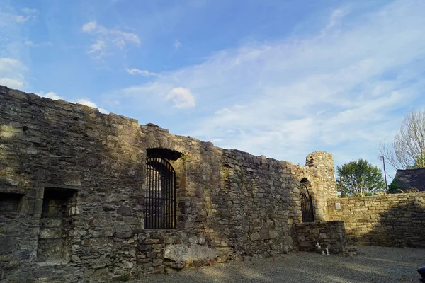 ジェルポイント修道院 Jerpoint Abbay アイルランドのキルケニー州トマストタウンの南西1 5Kmに位置するシトー会修道院で アイルランドで最も重要な修道院の一つである — ストック写真