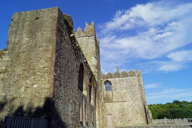 Tintern Abbey, İrlanda Cumhuriyeti 'nin Wexford ilçesinde eski bir manastır..