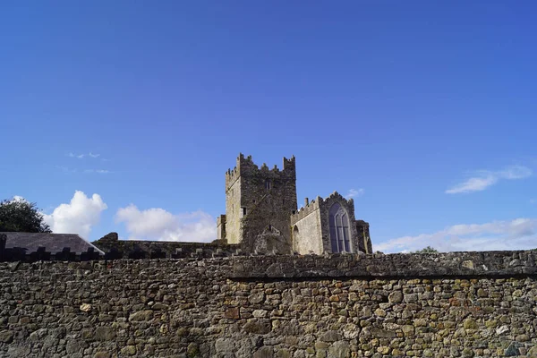 Tintern Abbey Είναι Ένα Πρώην Cistercian Αβαείο Στην Κομητεία Wexford — Φωτογραφία Αρχείου