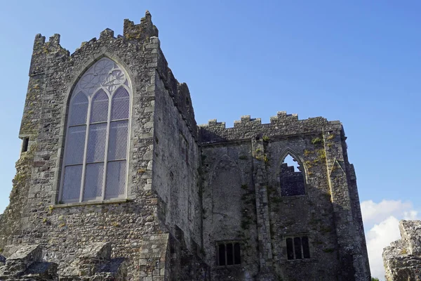 Tintern Abbey Είναι Ένα Πρώην Cistercian Αβαείο Στην Κομητεία Wexford — Φωτογραφία Αρχείου