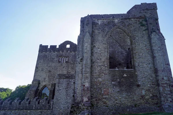 Tintern Abbey Uma Antiga Abadia Cisterciense Condado Wexford República Irlanda — Fotografia de Stock