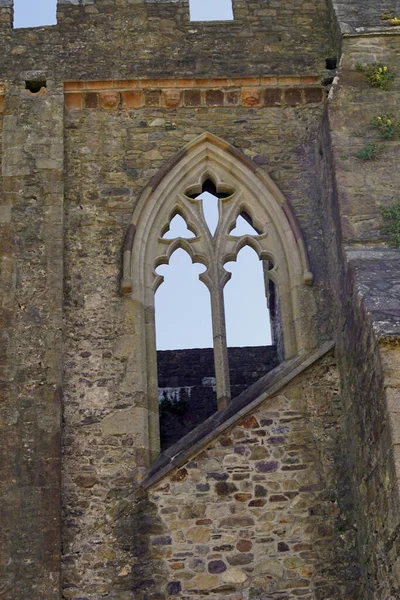 Tintern Abbey Rlanda Cumhuriyeti Nin Wexford Ilçesinde Eski Bir Manastır — Stok fotoğraf