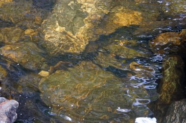 Powerscourt Waterfall, İrlanda 'da Enniskerry, County Wicklow yakınlarındaki Dargle Nehri' nde bulunan bir şelaledir..
