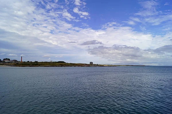 Oiseaux Mer Port Balbriggan — Photo