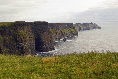 Moher Kayalıkları İrlanda 'nın en bilinen kayalıklarıdır. İrlanda 'nın ana adası olan Clare' in güneybatı kıyısında Doolin ve Liscannor köylerinin yakınında yer almaktadır..