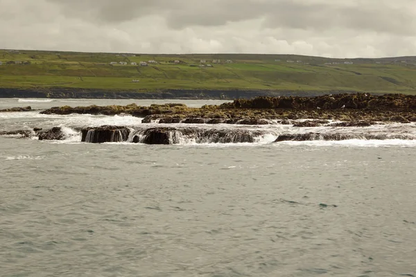 Vahşi Atlantik Yolu - Moher Kayalıklarında tekne gezisi. Moher Kayalıkları İrlanda 'nın en bilinen kayalıklarıdır. İrlanda 'nın ana adası olan Clare' in güneybatı kıyısında Doolin ve Liscannor köylerinin yakınında yer almaktadır..