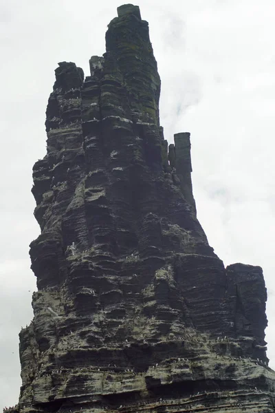 Wild Atlantic Way Boat Trip Cliffs Moher Cliffs Moher Best — Stock Photo, Image