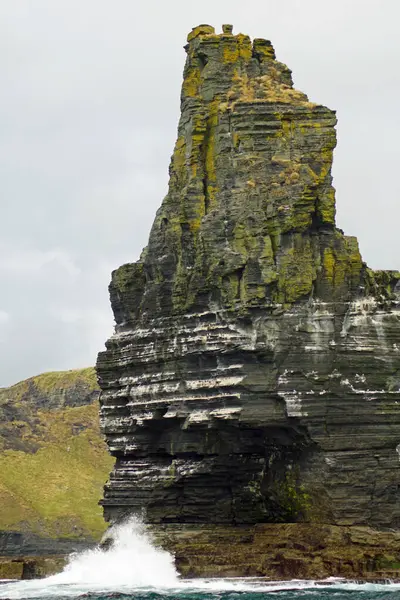 Wild Atlantic Way Εκδρομή Πλοίο Στα Βράχια Του Moher Cliffs — Φωτογραφία Αρχείου