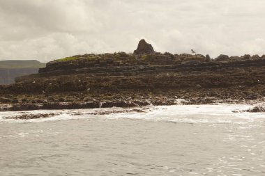 Vahşi Atlantik Yolu - Moher Kayalıklarında tekne gezisi. Moher Kayalıkları İrlanda 'nın en bilinen kayalıklarıdır. İrlanda 'nın ana adası olan Clare' in güneybatı kıyısında Doolin ve Liscannor köylerinin yakınında yer almaktadır..