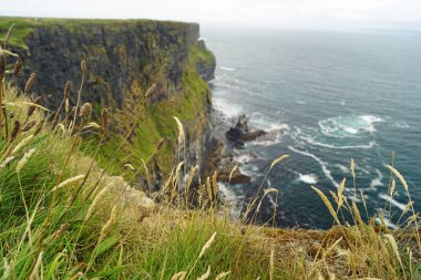 Moher Kayalıkları İrlanda 'nın en bilinen kayalıklarıdır. İrlanda 'nın ana adası olan Clare' in güneybatı kıyısında Doolin ve Liscannor köylerinin yakınında yer almaktadır..
