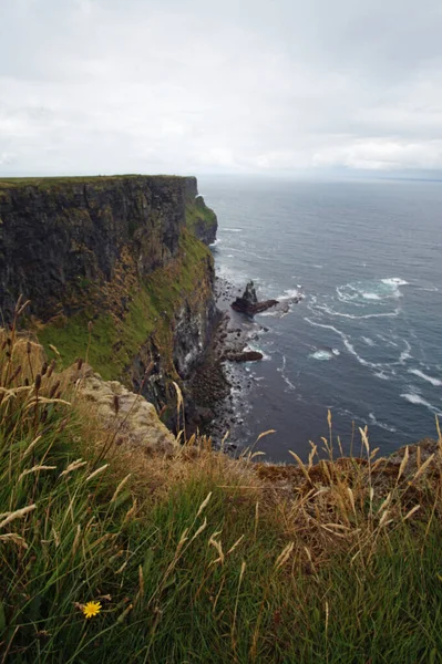 Скалы Мохера Самые Известные Скалы Ирландии Located Southwest Coast Ireland — стоковое фото