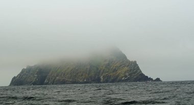 Skellig adalarında martılar ve diğer deniz kuşları