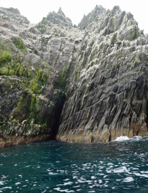 Küçük Skellig - Dünyanın ikinci büyük sümsük kuşu kolonisi