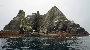 Küçük Skellig - Dünyanın ikinci büyük sümsük kuşu kolonisi