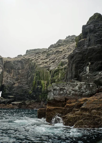 Little Skellig Δεύτερη Μεγαλύτερη Αποικία Gannet Στον Κόσμο — Φωτογραφία Αρχείου