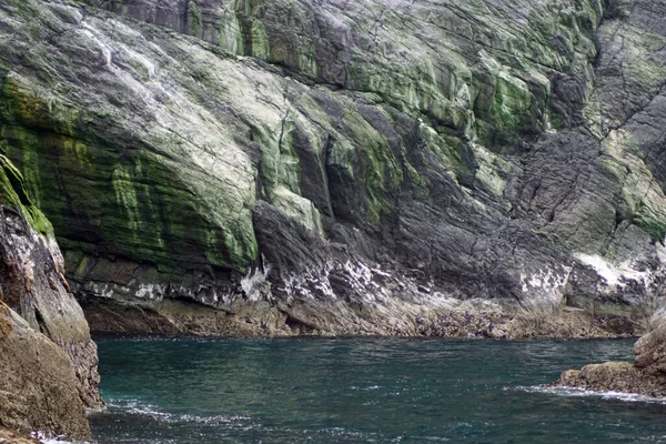 Wyspa Skellig Michael Znana Również Jako Wielki Skellig Jest Domem — Zdjęcie stockowe