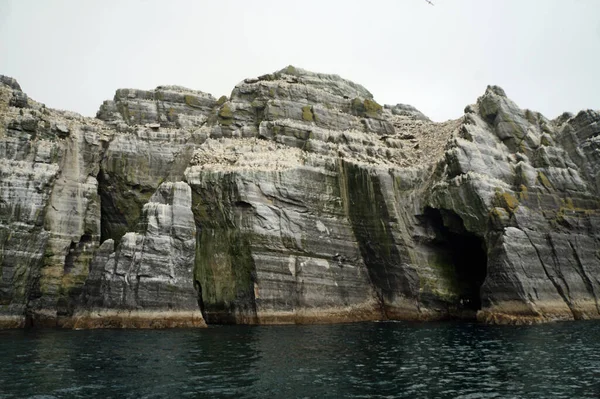 Little Skellig Δεύτερη Μεγαλύτερη Αποικία Gannet Στον Κόσμο — Φωτογραφία Αρχείου