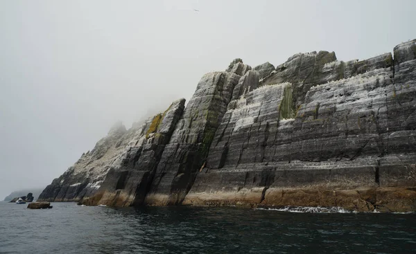 Little Skellig Druhá Největší Kolonie Gannetů Světě — Stock fotografie