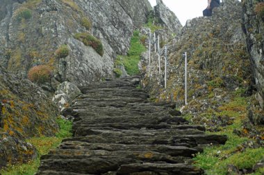 Büyük İskelet olarak da bilinen Skellig Michael adası İrlanda 'nın en bilinen ama ulaşılması zor ortaçağ manastırlarından birine ev sahipliği yapmaktadır..