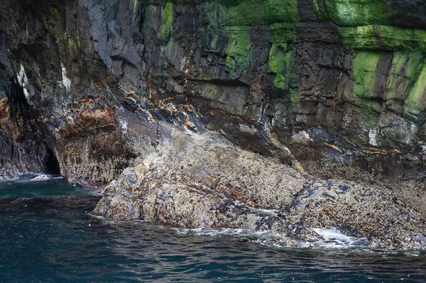 Ostrov Skellig Michael Také Známý Jako Velký Skellig Domovem Jednoho — Stock fotografie