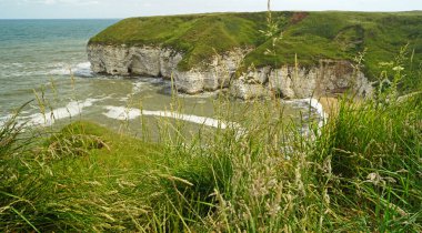 Flamborough Kayalıkları Doğa Koruma Alanı Avrupa 'nın en önemli deniz kuşu kolonilerinden birine ev sahipliği yapmaktadır.. 