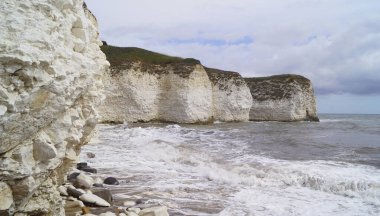 Flamborough Kayalıkları Doğa Koruma Alanı Avrupa 'nın en önemli deniz kuşu kolonilerinden birine ev sahipliği yapmaktadır.. 