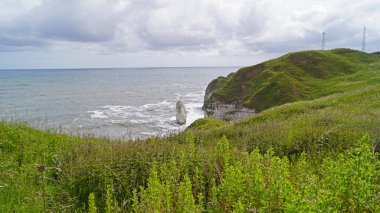 Flamborough Kayalıkları Doğa Koruma Alanı Avrupa 'nın en önemli deniz kuşu kolonilerinden birine ev sahipliği yapmaktadır.. 