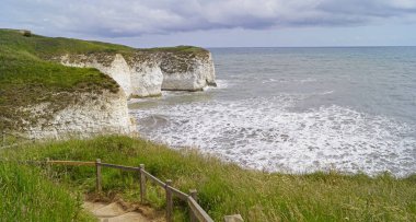 Flamborough Kayalıkları Doğa Koruma Alanı Avrupa 'nın en önemli deniz kuşu kolonilerinden birine ev sahipliği yapmaktadır.. 