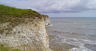 Flamborough Kayalıkları Doğa Koruma Alanı Avrupa 'nın en önemli deniz kuşu kolonilerinden birine ev sahipliği yapmaktadır.. 