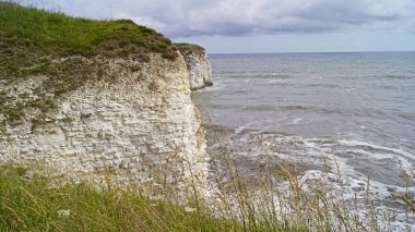 Flamborough Kayalıkları Doğa Koruma Alanı Avrupa 'nın en önemli deniz kuşu kolonilerinden birine ev sahipliği yapmaktadır.. 