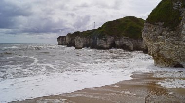 Flamborough Kayalıkları Doğa Koruma Alanı Avrupa 'nın en önemli deniz kuşu kolonilerinden birine ev sahipliği yapmaktadır.. 