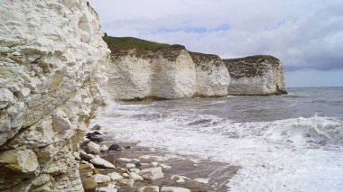 Flamborough Kayalıkları Doğa Koruma Alanı Avrupa 'nın en önemli deniz kuşu kolonilerinden birine ev sahipliği yapmaktadır.. 