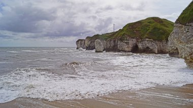 Flamborough Kayalıkları Doğa Koruma Alanı Avrupa 'nın en önemli deniz kuşu kolonilerinden birine ev sahipliği yapmaktadır.. 