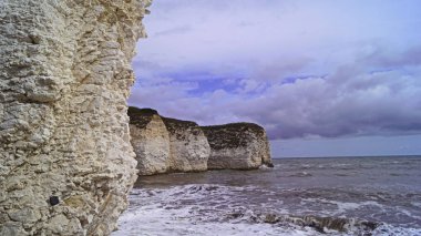 Flamborough Kayalıkları Doğa Koruma Alanı Avrupa 'nın en önemli deniz kuşu kolonilerinden birine ev sahipliği yapmaktadır.. 