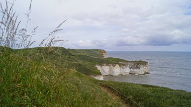 Flamborough Kayalıkları Doğa Koruma Alanı Avrupa 'nın en önemli deniz kuşu kolonilerinden birine ev sahipliği yapmaktadır.. 