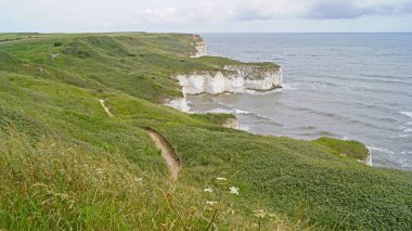 Flamborough Kayalıkları Doğa Koruma Alanı Avrupa 'nın en önemli deniz kuşu kolonilerinden birine ev sahipliği yapmaktadır.. 