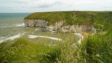 Flamborough Kayalıkları Doğa Koruma Alanı Avrupa 'nın en önemli deniz kuşu kolonilerinden birine ev sahipliği yapmaktadır.. 