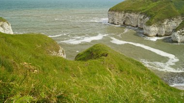 Flamborough Kayalıkları Doğa Koruma Alanı Avrupa 'nın en önemli deniz kuşu kolonilerinden birine ev sahipliği yapmaktadır.. 